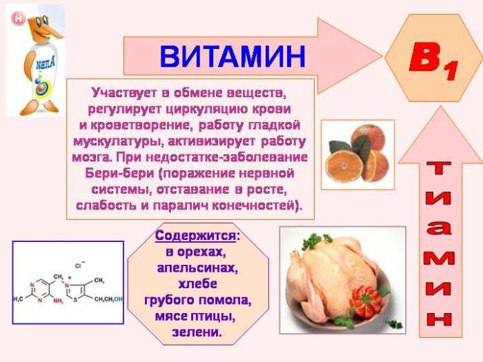 Свойства витамина В1