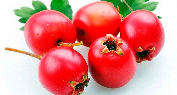 Какие ягоды можно есть при гастрите желудка