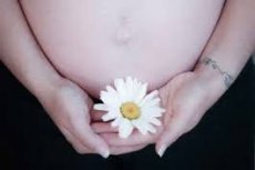 Ромашка от молочницы при беременности 29