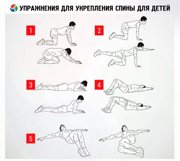 Упражнение для укрепления мышцы спины для детей